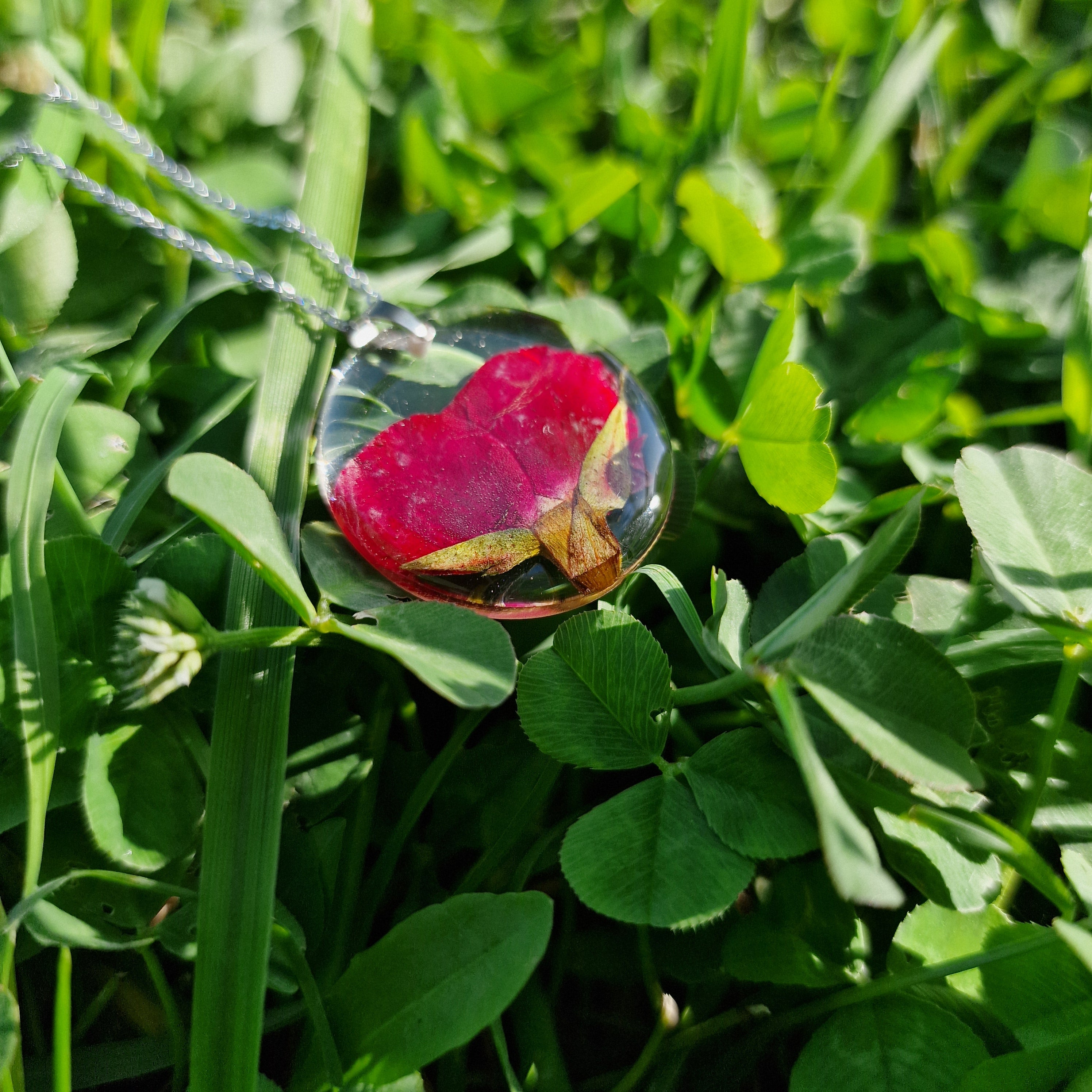 Red rose necklace - Natural dried flower pendant with silver Chain